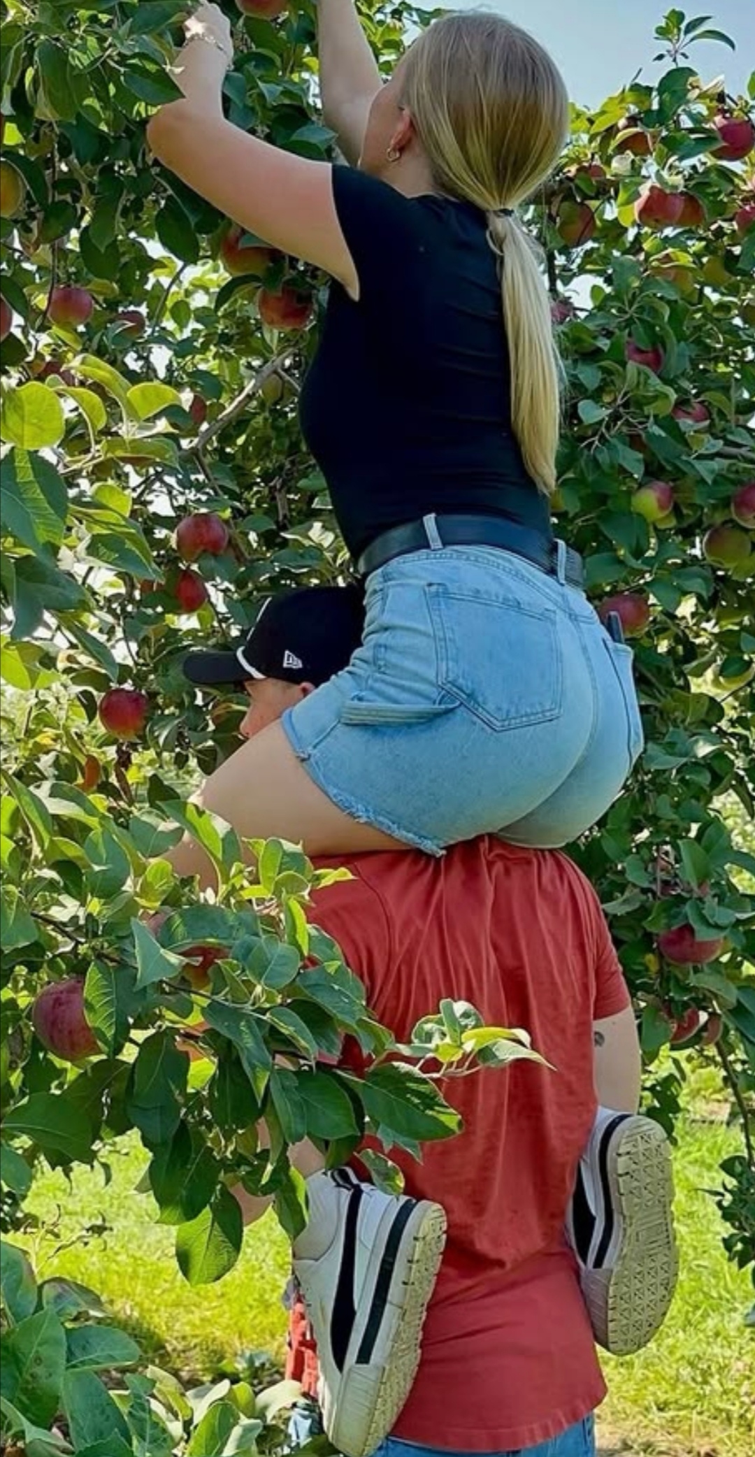 2136_1783254876.jpg