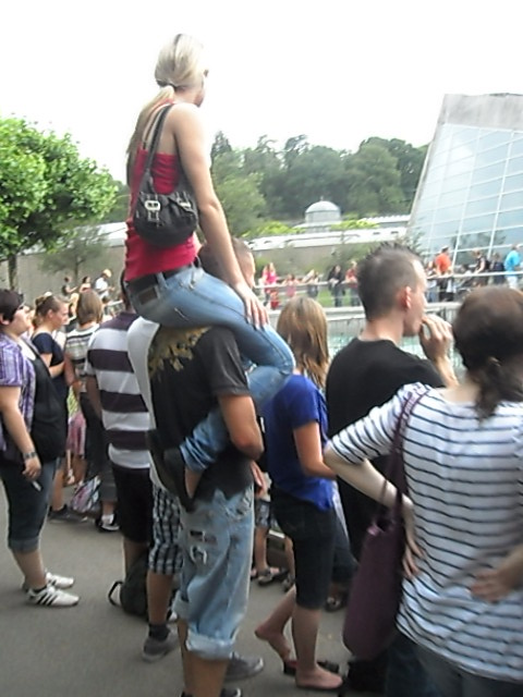 2385_1388487542.jpg