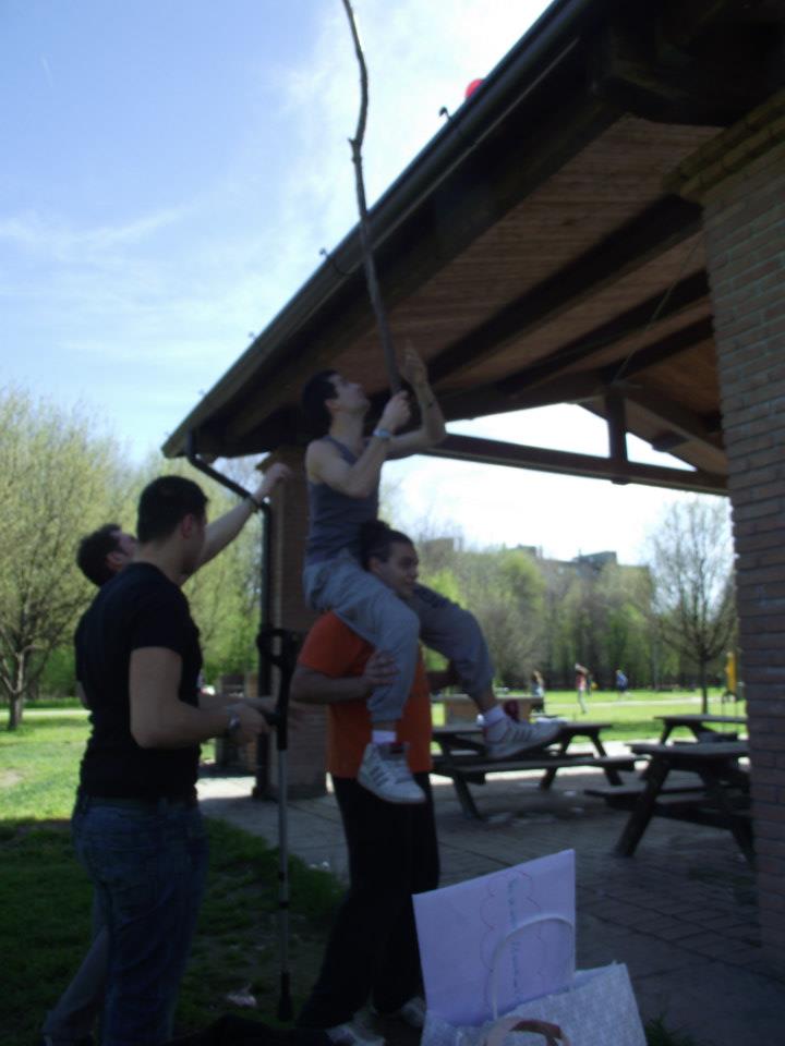 2447_1589037629.jpg